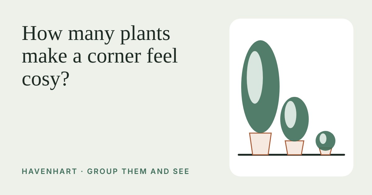 Three potted plants of different heights, tall, medium and small, lined up on a floor line