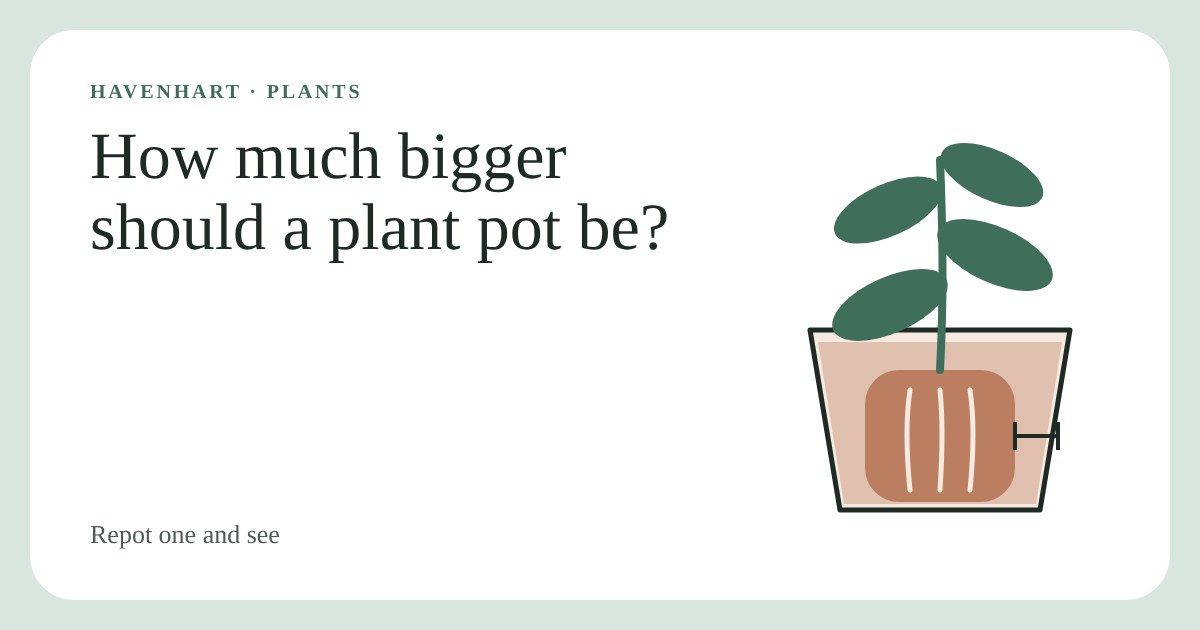 Cross-section of a plant in a pot, with a ring of fresh soil around the root ball